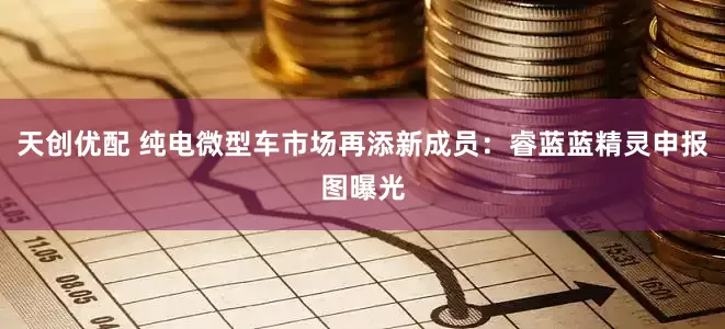 天创优配 纯电微型车市场再添新成员：睿蓝蓝精灵申报图曝光