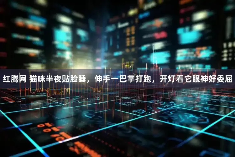 红腾网 猫咪半夜贴脸睡，伸手一巴掌打跑，开灯看它眼神好委屈