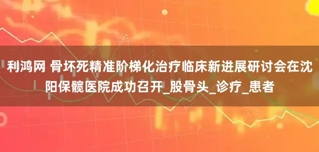 利鸿网 骨坏死精准阶梯化治疗临床新进展研讨会在沈阳保髋医院成功召开_股骨头_诊疗_患者