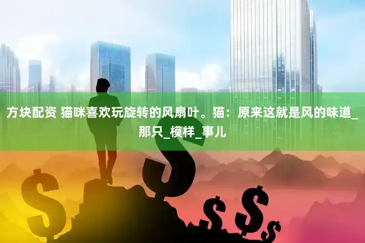 方块配资 猫咪喜欢玩旋转的风扇叶。猫：原来这就是风的味道_那只_模样_事儿