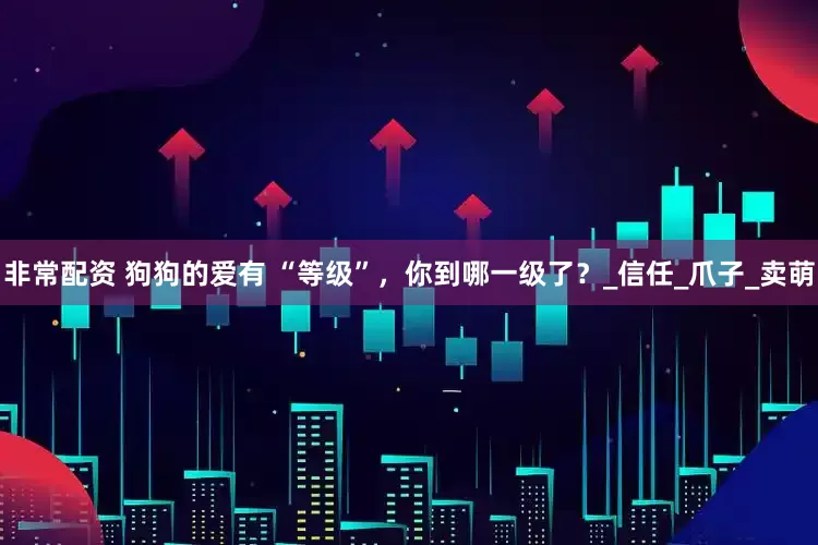 非常配资 狗狗的爱有 “等级”，你到哪一级了？_信任_爪子_卖萌