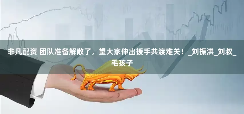 非凡配资 团队准备解散了，望大家伸出援手共渡难关！_刘振洪_刘叔_毛孩子