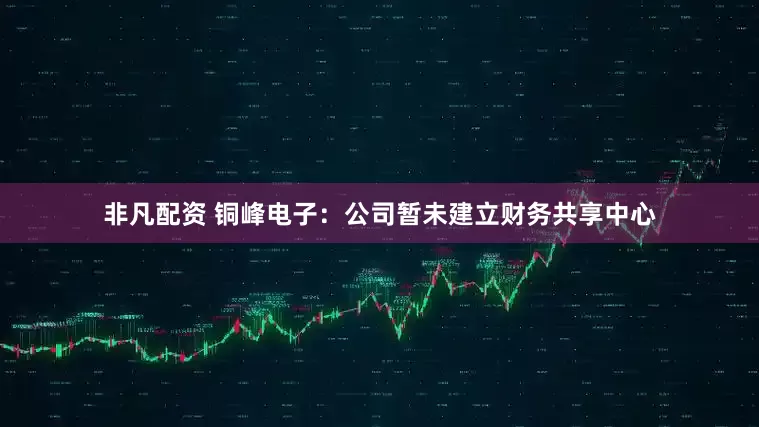 非凡配资 铜峰电子：公司暂未建立财务共享中心
